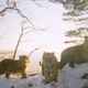 Illustration for article titled Our favorite photographs from this years BBC Camera-trap Photo of the Year competition
